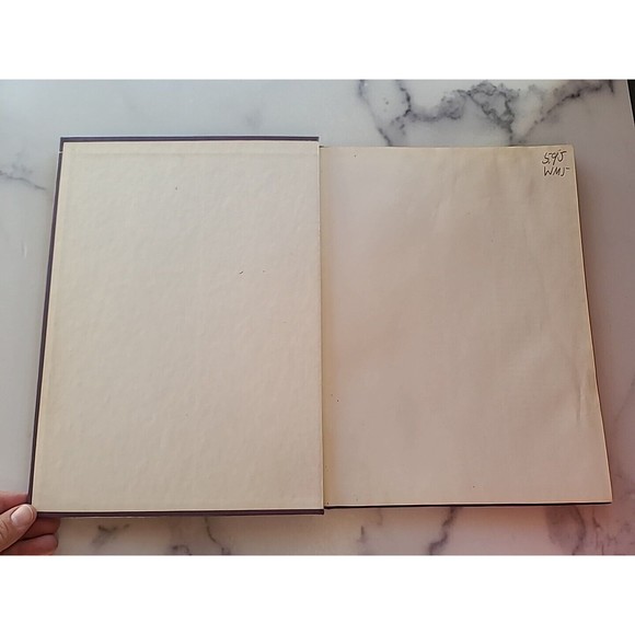 Family Circle Decorative Crafts For Your Home - Picture 2 of 10